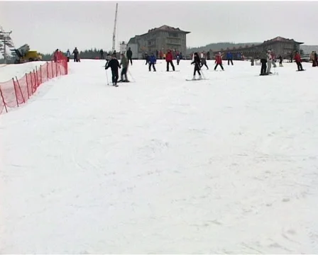 Alpine Skiing Stock Footage 1008422