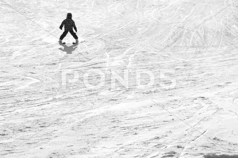 Alpine skiing. Stock Photos