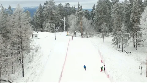 Alpine skiing, pine forest, winter, mountains, fog Stock Footage 121789284