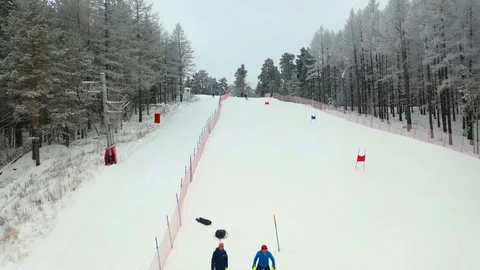 Alpine skiing, pine forest, winter, mountains, fog Stock Footage 121789308