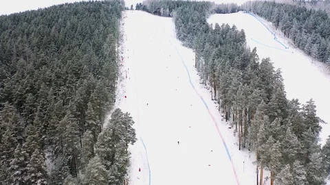 Alpine skiing, pine forest, winter, mountains, fog Stock Footage 121789692