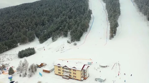 Alpine skiing, pine forest, winter, mountains, fog Stock Footage 121790118