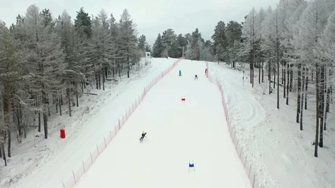 Alpine skiing, pine forest, winter, mountains, fog Stock Footage 121790136