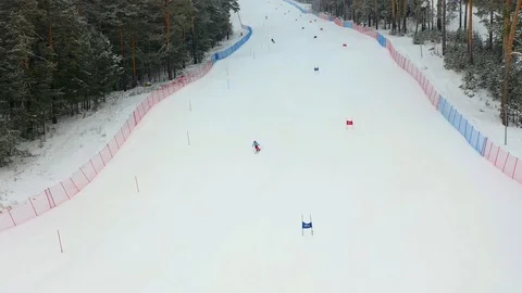 Alpine skiing, pine forest, winter, mountains, fog Stock Footage 121790595