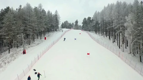 Alpine skiing, pine forest, winter, mountains, fog Stock Footage 121790957