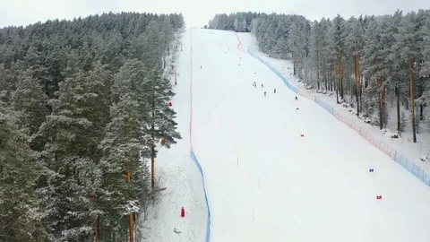 Alpine skiing, pine forest, winter, mountains, fog Stock Footage 121790980