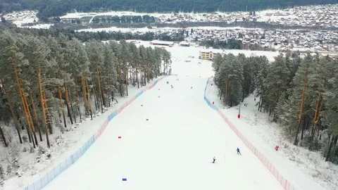 Alpine skiing, pine forest, winter, mountains, fog Stock Footage 121791337