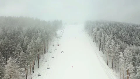 Alpine skiing, pine forest, winter, mountains, fog Stock Footage 121791342