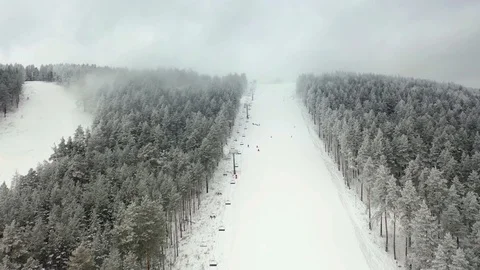 Alpine skiing, pine forest, winter, mountains, fog Stock Footage 121791386