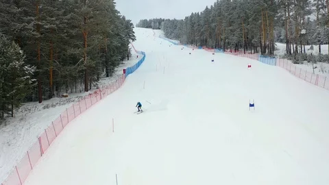 Alpine skiing, pine forest, winter, mountains, fog Stock Footage 121791526