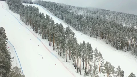 Alpine skiing, pine forest, winter, mountains, fog Stock Footage 121791597