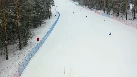 Alpine skiing, pine forest, winter, mountains, fog Stock Footage 121791936