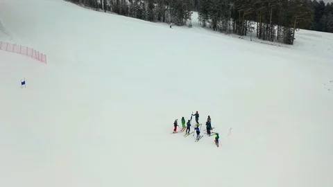 Alpine skiing, pine forest, winter, mountains, fog Stock Footage 121791990