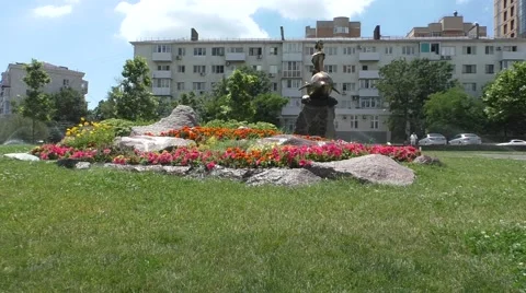 Alpine Slide With Green Grass and Flowers Stock Footage 64276208