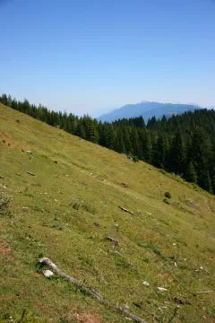 Alpine slope Stock Photos