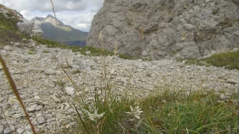 Alpine star pan to tip 12 Video stock 79745313