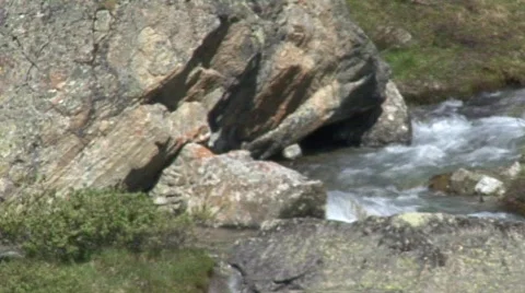 Alpine Stream 2 Stock Footage 485109