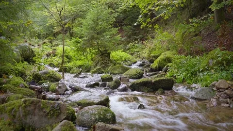 Alpine Stream Stock Footage 220471904