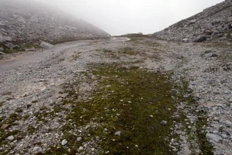 Alpine stream from the glacier. Foto stock
