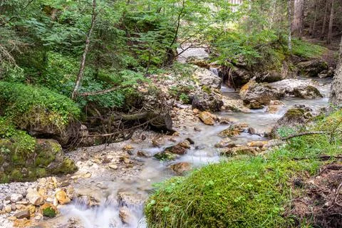 Alpine stream Stock Photos