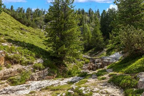 Alpine stream Stock Photos