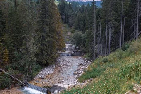 Alpine stream Stock Photos