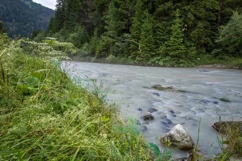 Alpine stream Stock Photos