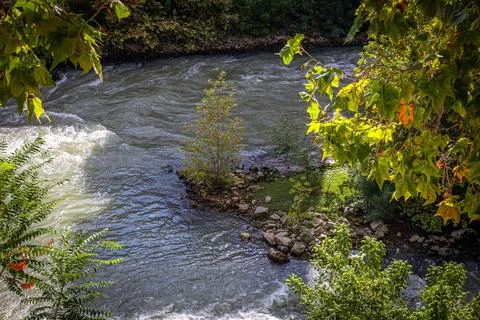 Alpine stream Stock Photos