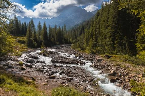 Alpine stream Stock Photos
