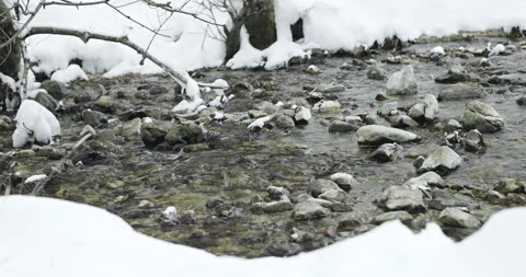 Alpine stream runs over snowy banks Stock Footage 231734382
