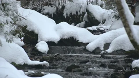 Alpine stream water flow cascading in forest Stock Footage 144841172