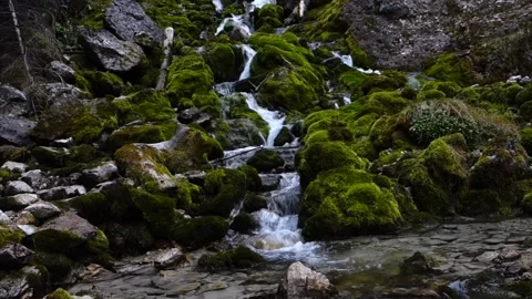 Alpine Stream1 Stock Footage 164976272