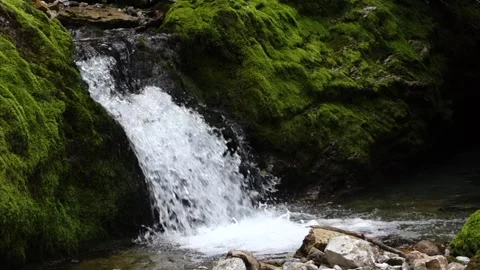 Alpine Stream2 Video stock 164976239