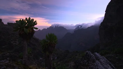 Alpine sunset with silhouetted trees Stock Footage 119349331