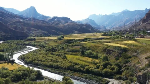 Alpine trees on the bank of a clean runing stream Видео 121664419