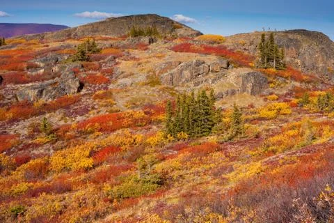 Alpine tundra Stock Photos