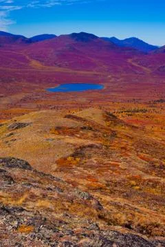 Alpine tundra Stock Photos