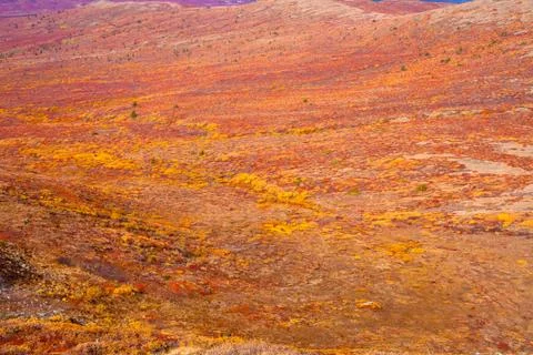 Alpine tundra Stock Photos