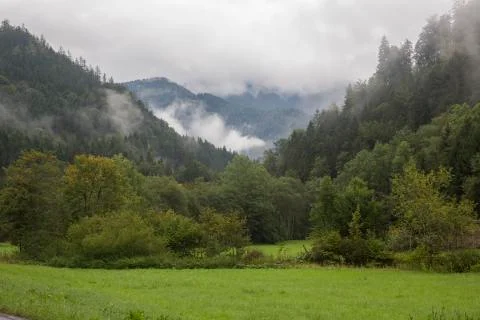 Alpine valley after rain with the clouds raising Stock Photos