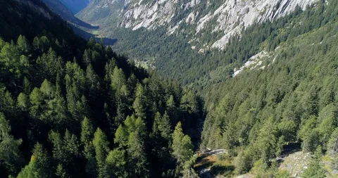Alpine valley from drone Stock Footage 95929020