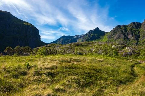 Alpine Valley Meadow with Dramatic Mountain Peaks in Lofoten Norway 库存照片