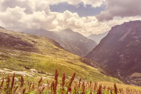 Alpine valley. Stock Photos