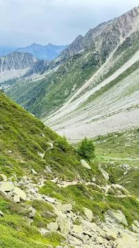 Alpine Valley Trail Stock Photos