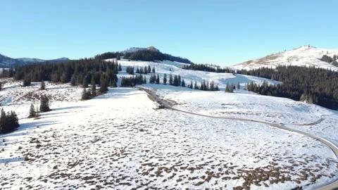 An alpine valley in winter with snow-covered trees and green patches of forest. Video stock 303636536
