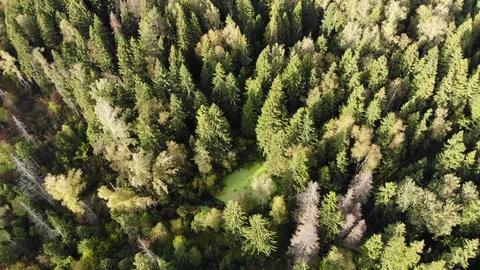 Alpine valleys and meadows Stock Footage 118617938