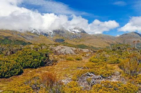 Alpine vegetation below cloud shrouded peaks Stockfoto's