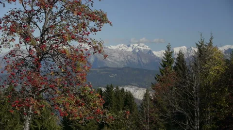 Alpine view Stock Footage 59791537