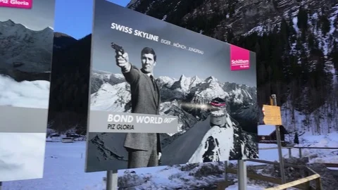 ALPINE VIEW Stock Footage 121850968