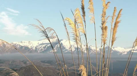 Alpine view through Toe Toe Stock Footage 8973234