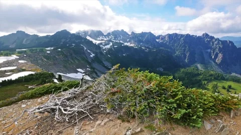 Alpine Views on the Spray Park Trail in Mount Rainier National Park, Washington Video stock 332083347